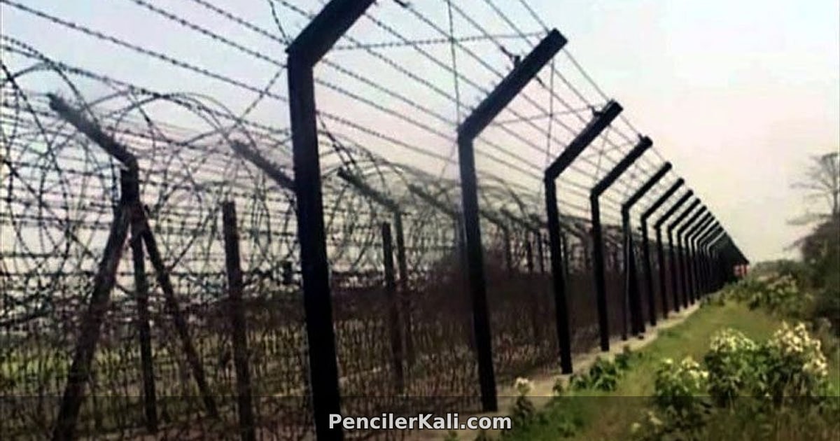চাঁপাইনবাবগঞ্জে ২০ অনুপ্রবেশকারীর চেষ্টা প্রতিহত করলো বিজিবি