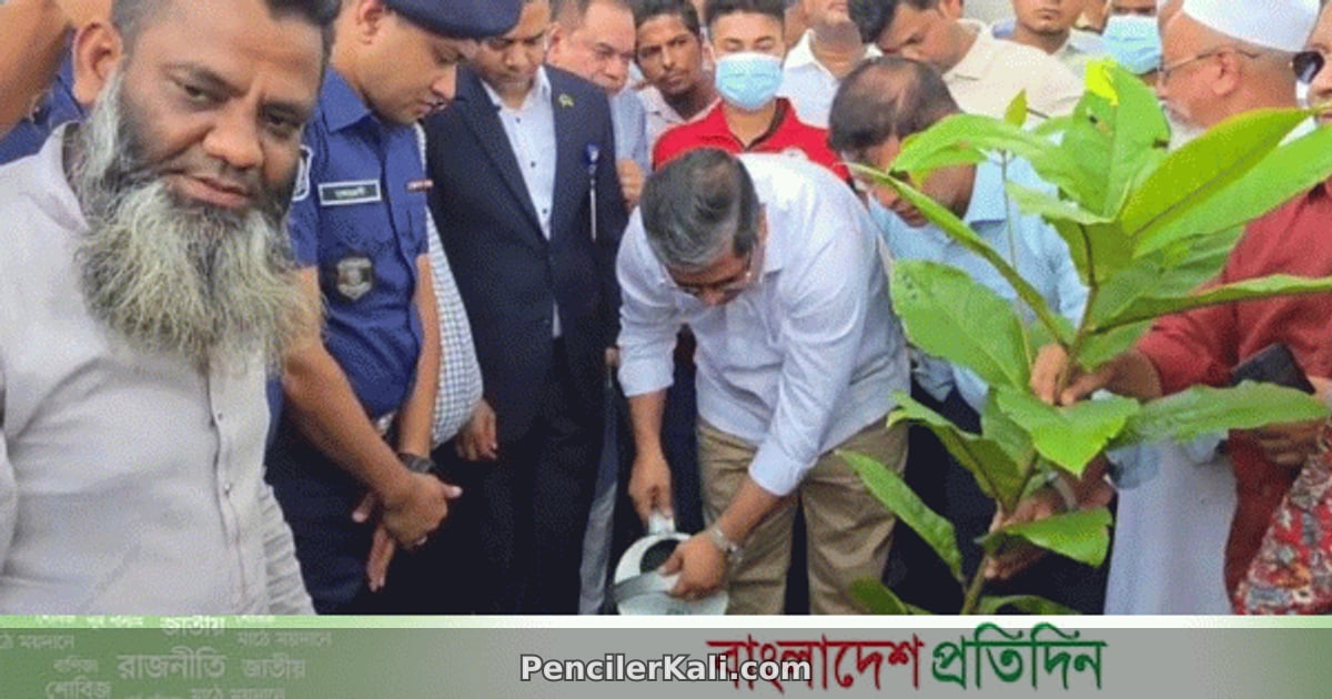 মহাসড়কের পাশে বর্জ্য অপসারণ ও বৃক্ষরোপণ: স্থানীয় সরকার প্রতিমন্ত্রীর উদ্যোগ