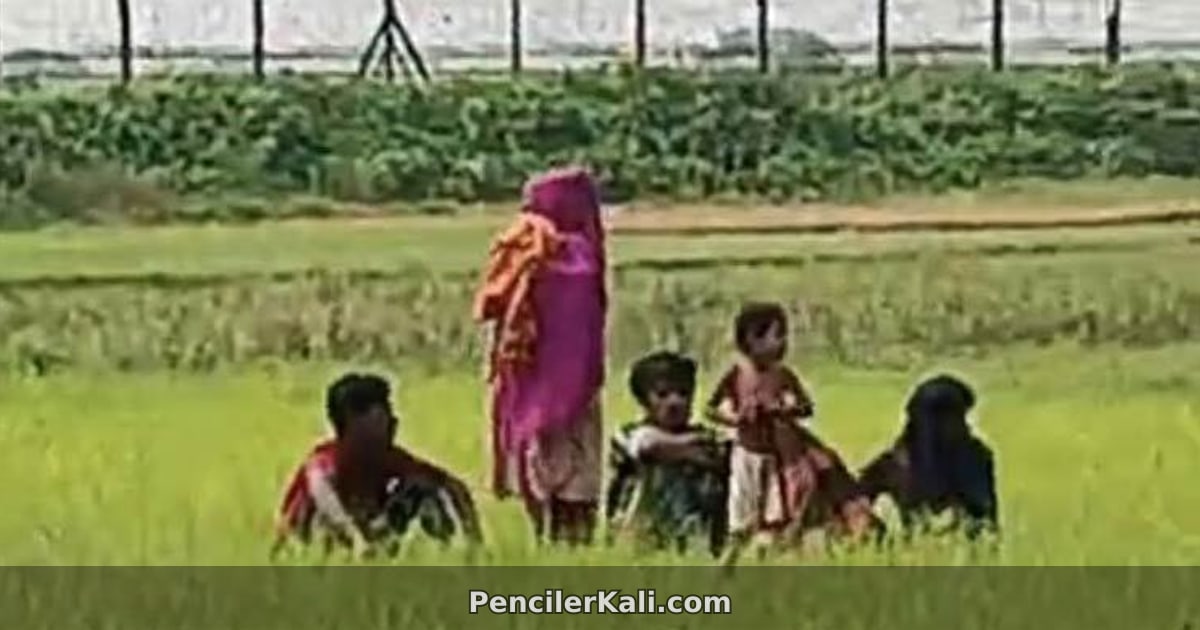 সীমান্তে অমানবিক পরিবেশে আটকে ছয় বাংলাদেশি: খাবার-পানি দিয়ে সহায়তা করছে সীমান্তবাসী