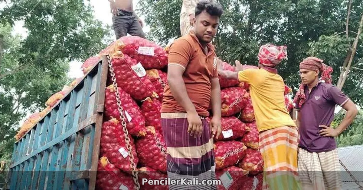 ফরিদপুরে পেঁয়াজ চাষিদের লোকসান: উৎপাদন খরচও উঠছে না