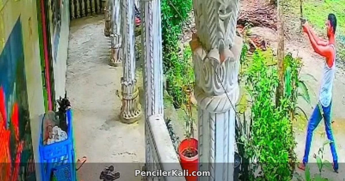 লক্ষ্মীপুরে অস্ত্র উঁচিয়ে যুবদল নেতার ঘরে গুলি