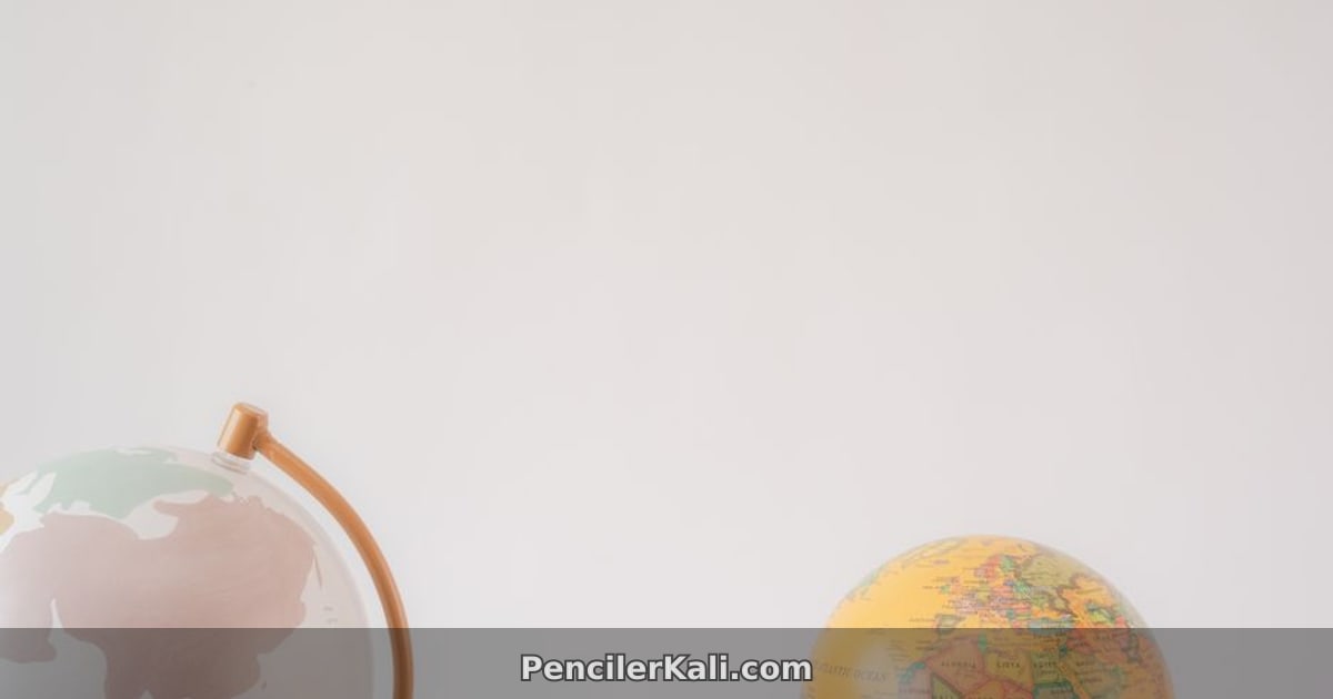 ইউএফসি ফাইটার জশ হকিটের বিতর্কিত মন্তব্য: মিশেল ওবামাকে 'পুরুষ' বলাটা ছিল 'প্রশংসা'