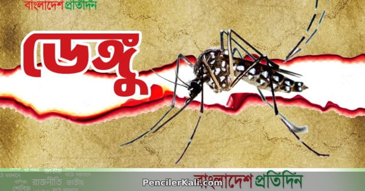 সিলেটে ডেঙ্গুর প্রকোপ: চিকিৎসা ব্যবস্থায় উন্নতির দাবি