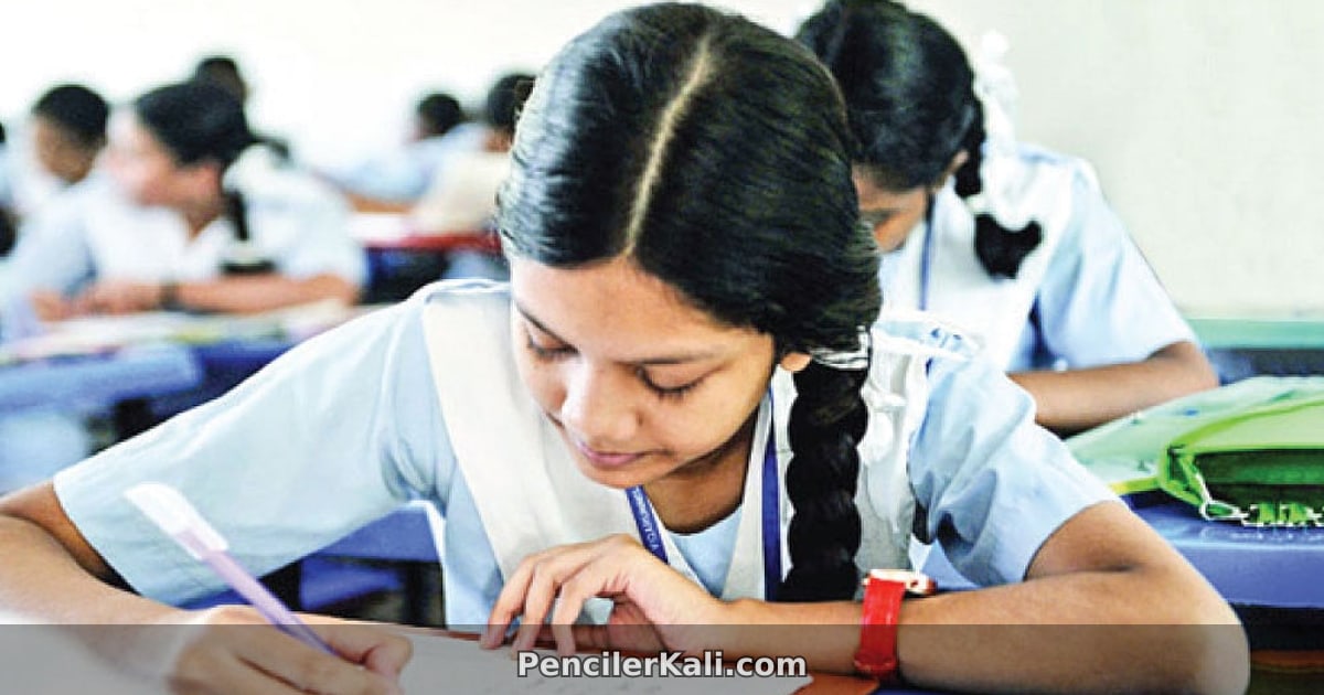 প্রাথমিক বৃত্তিতে ছাত্রীদের জয়জয়কার, সংখ্যায় এগিয়ে মেয়েরা