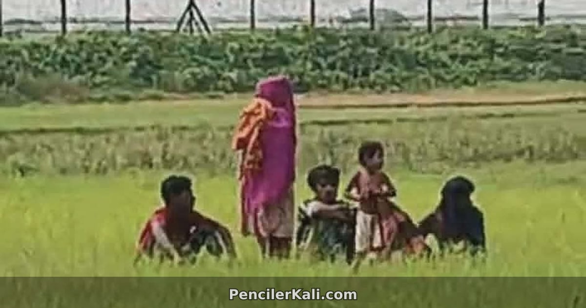 কুড়িগ্রাম সীমান্তে নারী-শিশুসহ ছয় বাংলাদেশি পুশ ইনের শিকার