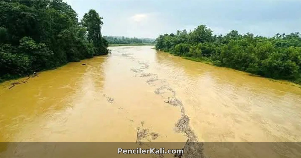 শেরপুরে পাহাড়ি ঢলে ৩ নদীর পানি বিপৎসীমার ওপরে, প্লাবনের আশঙ্কা