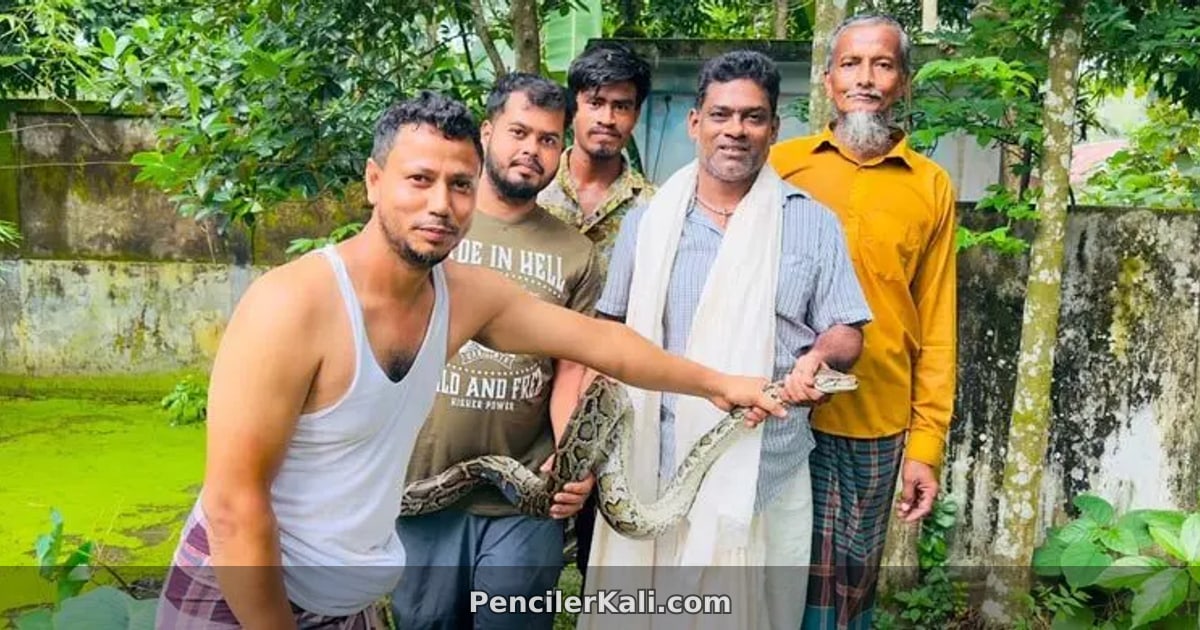 শ্রীমঙ্গলে হাঁস-মুরগি খোয়া যাওয়ার রহস্য উন্মোচন, ধরা পড়লো অজগর