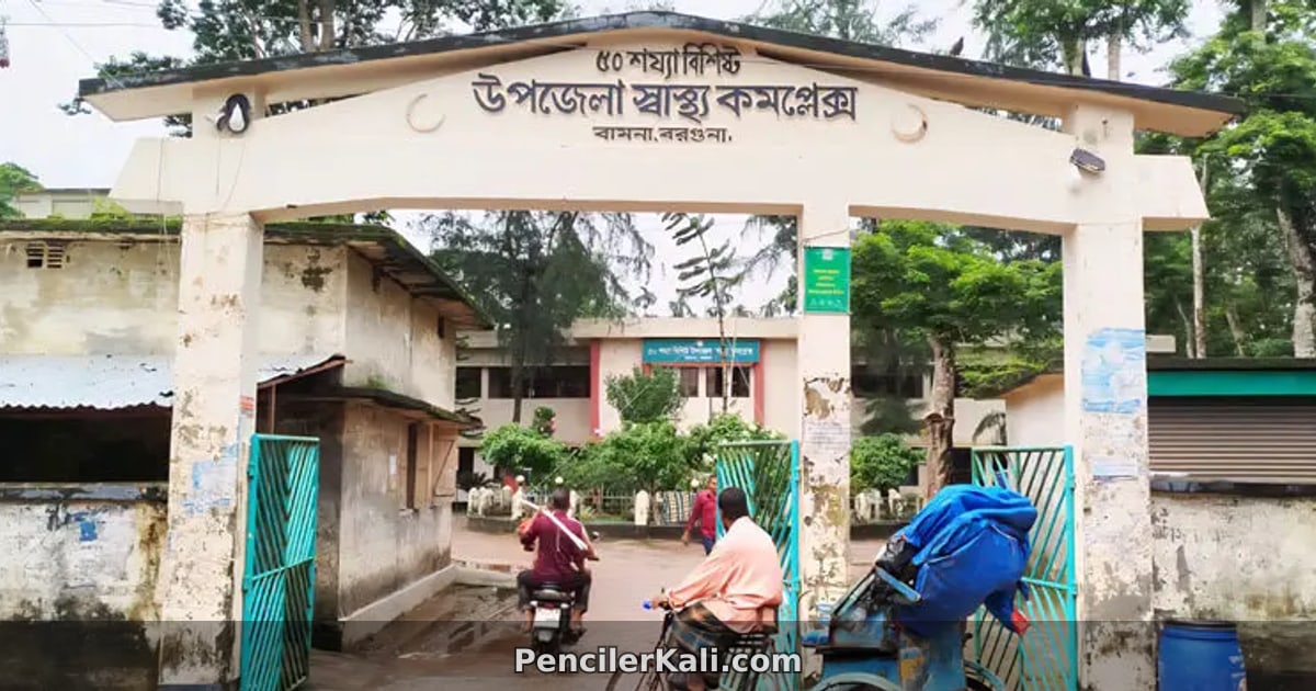 ভাগনেকে বাঁচাতে গিয়ে মামারও মৃত্যু
