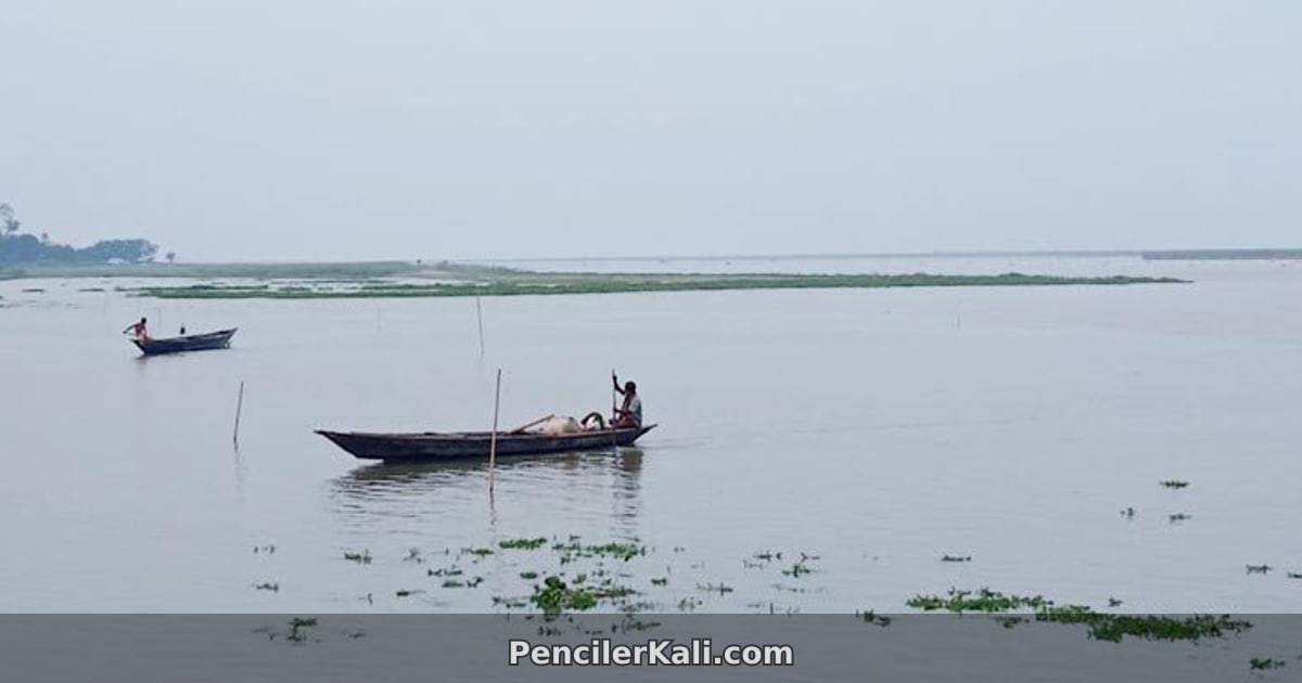 কুড়িগ্রামে নদ-নদীর পানি বৃদ্ধি, তবে বিপৎসীমার নিচে