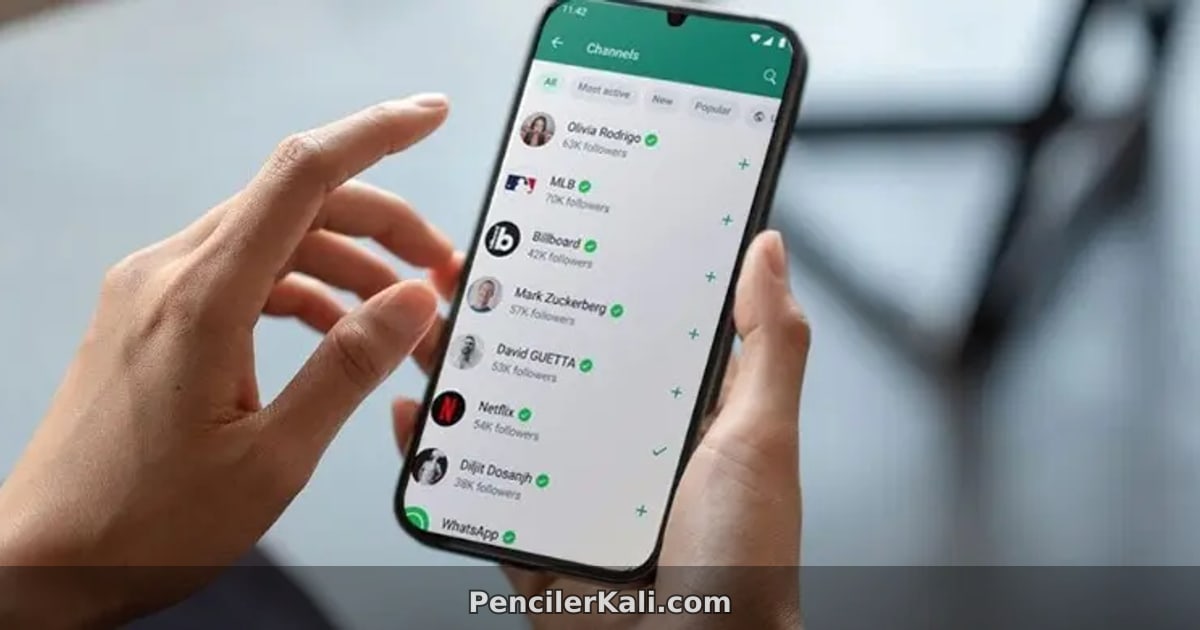 অচেনা নম্বর থেকে বার্তা এলে হোয়াটসঅ্যাপ দেবে বিশেষ সতর্কতা