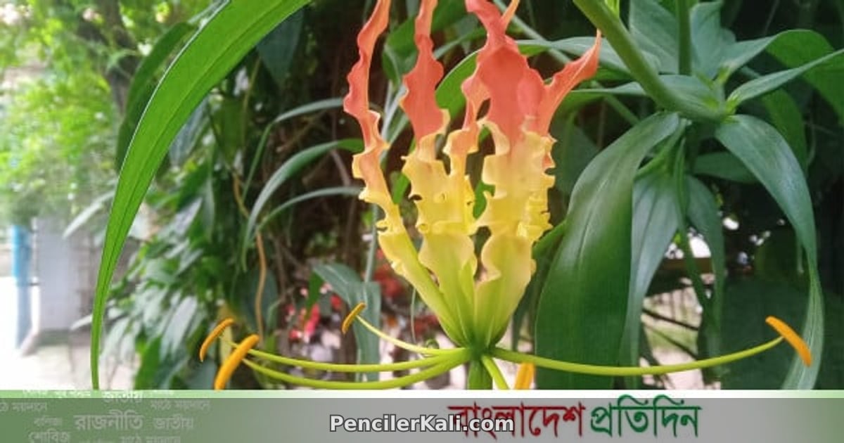 বর্ষার আগমনে প্রকৃতিতে নতুন রূপে সেজেছে ফুল