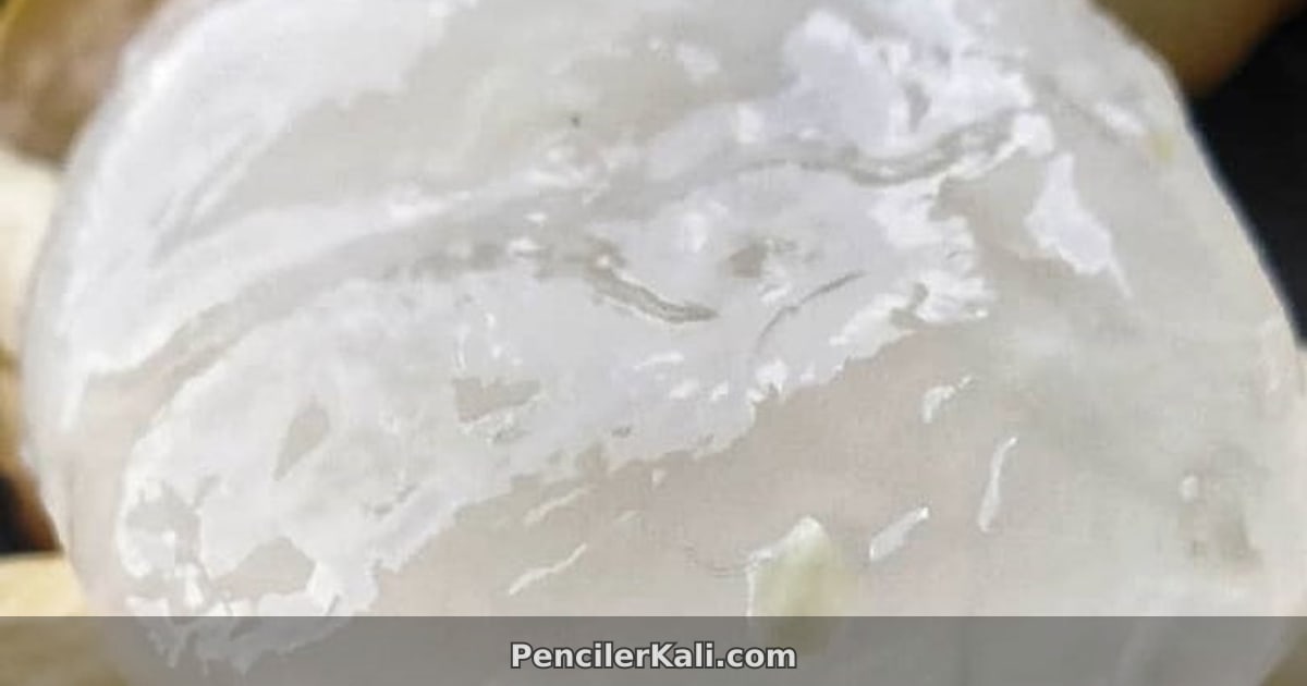 তালের শাঁস: গরমে শরীর শীতল রাখার প্রাকৃতিক উপায়, ডায়াবেটিকদের জন্যও নিরাপদ