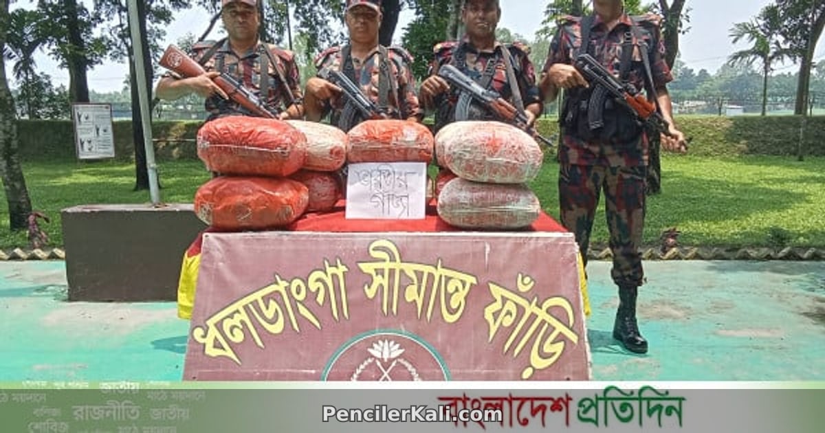কুড়িগ্রাম ও টেকনাফে বিপুল পরিমাণ চোরাচালান ও অবৈধ জাল উদ্ধার