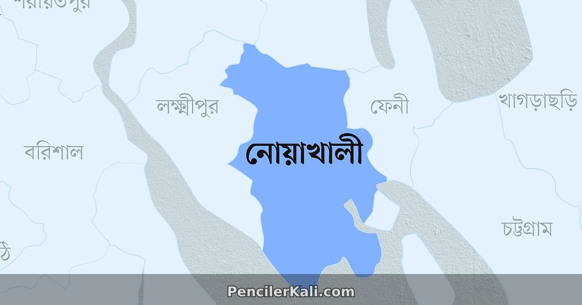 হাতিয়ায় ধর্ষণের অভিযোগে পুলিশ কর্মকর্তা প্রত্যাহার