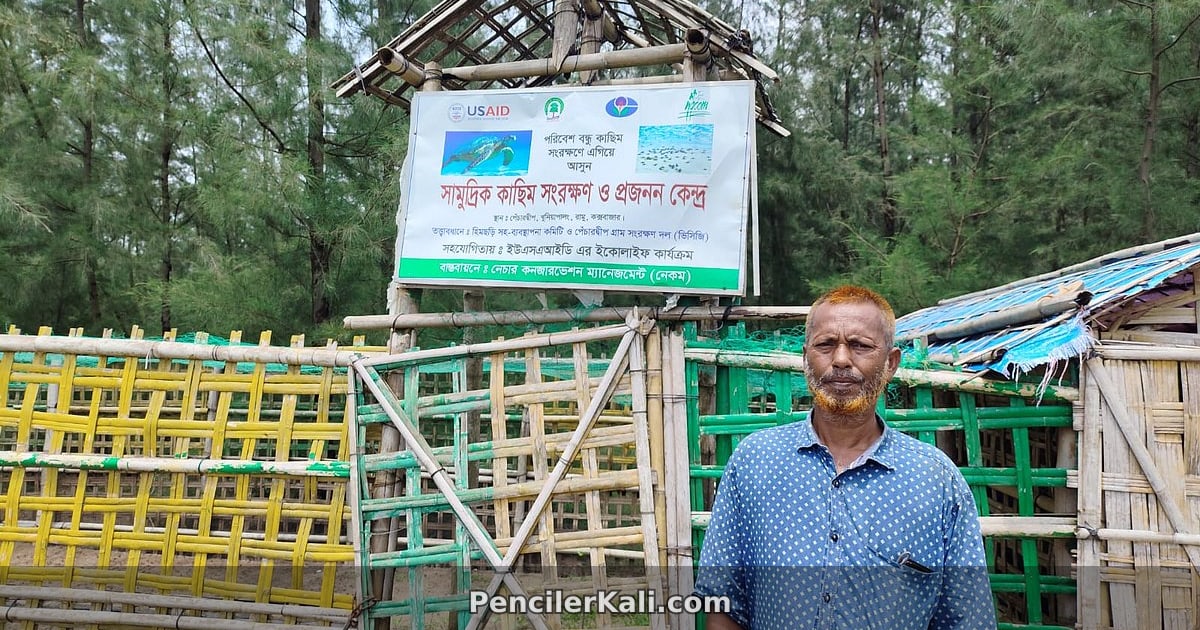 ৫০ হাজার কাছিম ছানা সমুদ্রে ফেরালেন লতিফ
