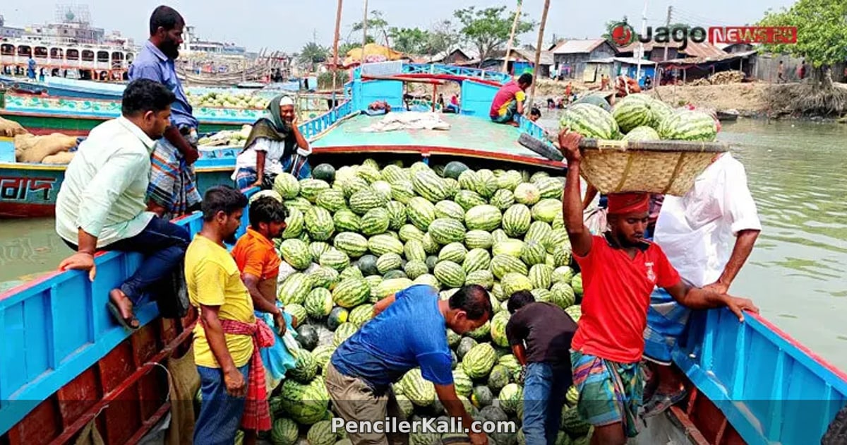 প্রযুক্তির অভাবে বছরজুড়ে তরমুজের অপ্রাপ্যতা
