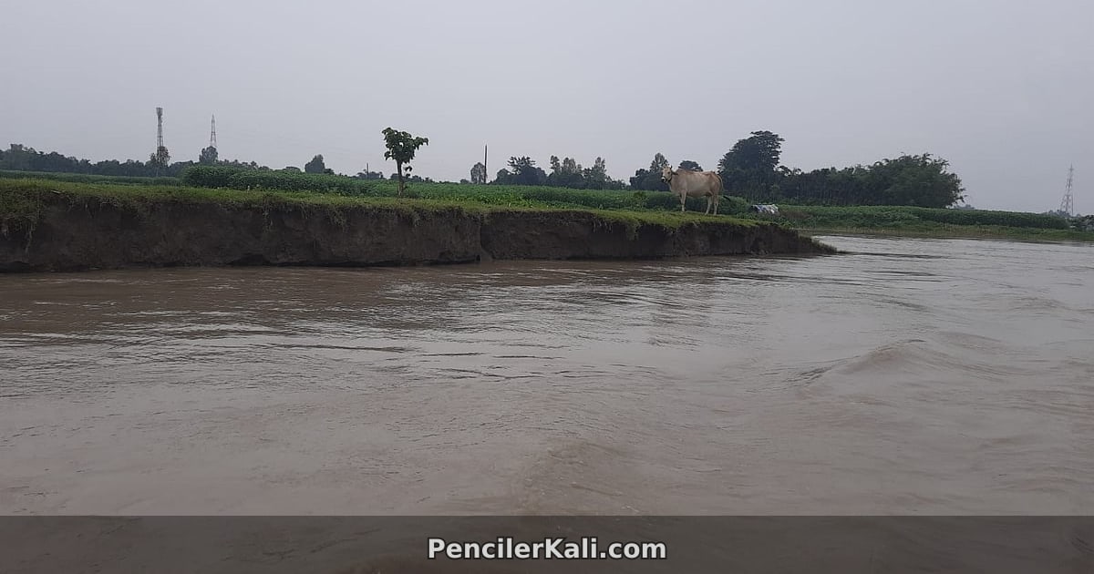 কুড়িগ্রামে নদ-নদীর পানি বৃদ্ধি, তবে বন্যার শঙ্কা নেই