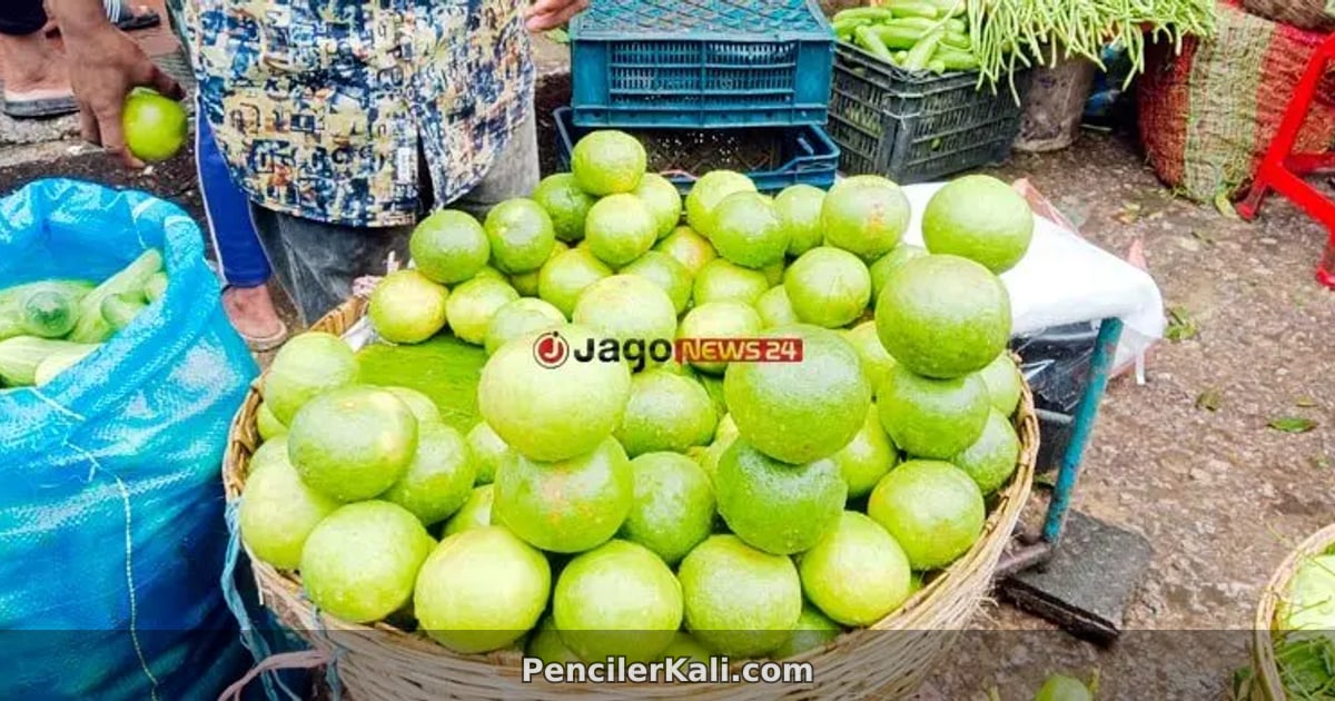 সিলেটের ঐতিহ্যবাহী সাতকরা: ভারত থেকে আমদানি, রপ্তানি হয় ‘সিলেটের সাতকরা’ নামে