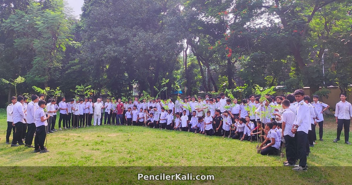 গাছের সঠিক পরিচর্যা ও পরিবেশ রক্ষায় এর গুরুত্ব